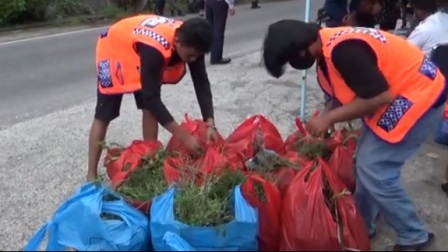 54 Orang Pelanggar Perda AKB di Palupuh, Diinput ke SIPELADA