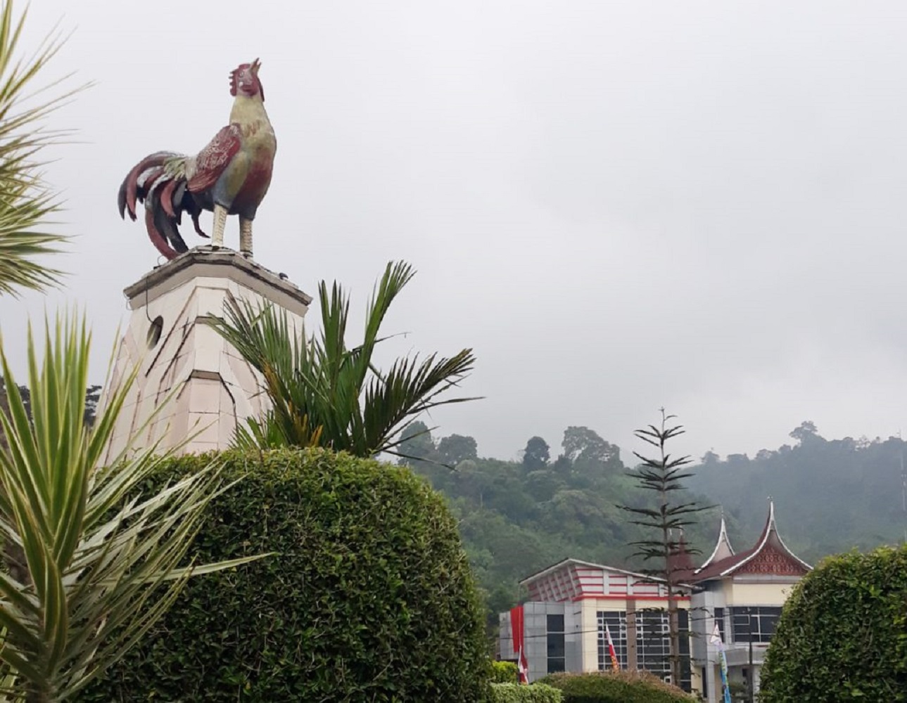 foto : Tugu Ayam Kayu Aro, Solok/SuhaNews