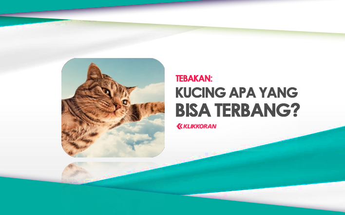 TEBAKAN, 'Kucing Apa yang Bisa Terbang', Jawaban TTS Ini Cukup Mudah/klikkoran.com