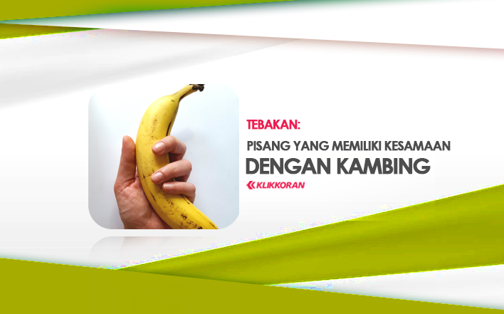 TEBAKAN, Pisang Apa yang Memiliki Kesamaan Kaya Kambing, Ayo Jenis Pisang yang Mana! (TTS) Teka-teki Sulit/klikkoran.com