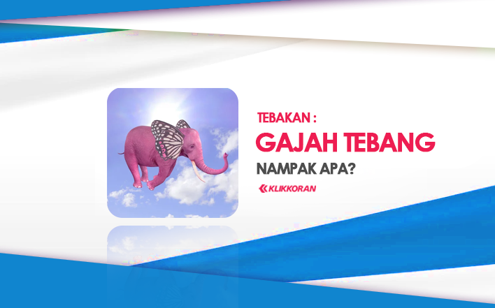 Teka-teki, Gajah Terbang Nampak Apa (TTS 4 Kata) Cek Jawaban Tebakan Lucu Ini/klikkoran.com