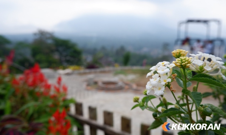 Bukit Idaman Gisting (foto: Google Maps/Achmat Wartanto)