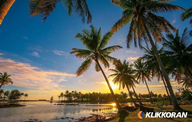 Ilustrasi Pantai Tiku (Foto: tempatwisata.pro)