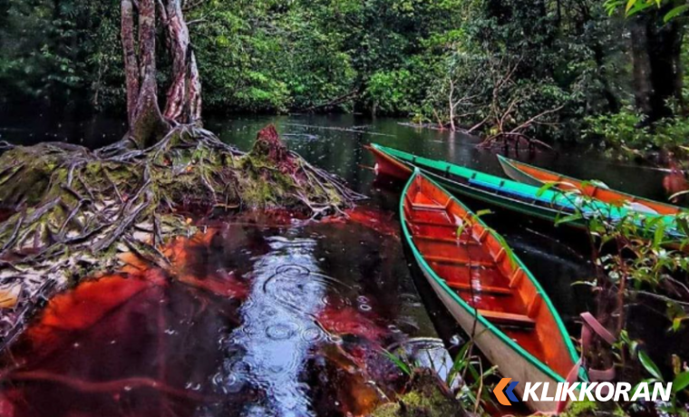 Keindahan pemandangan Hutan Itah (foto: instagram.com/kahuiproject)