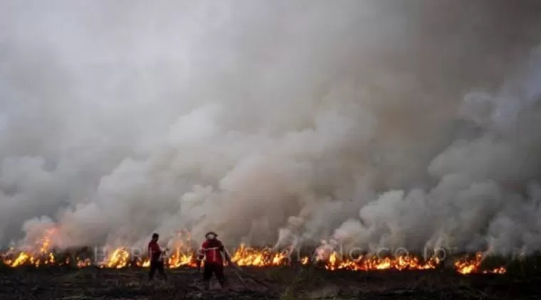 Sepanjang 2024, Sebanyak 1.073 Hektar Lahan di Riau Digasak Karhutla