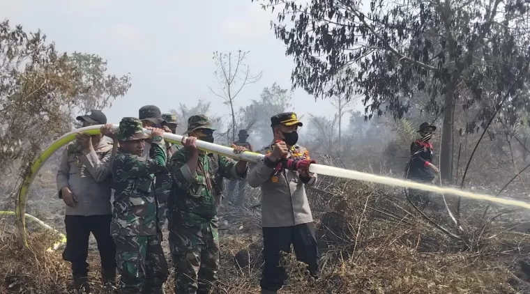 Soal Karhutla di Inhu, Begini Kata Kapolres Fahrian Siregar