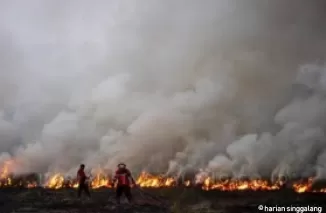 Kebakaran di Hutan Giam Siak Kecil, Begini Kata BBKSDA Riau