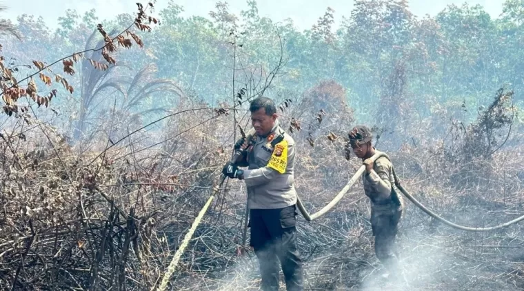 9 Daerah di Riau Tetapkan Status Siaga Darurat Karhutla