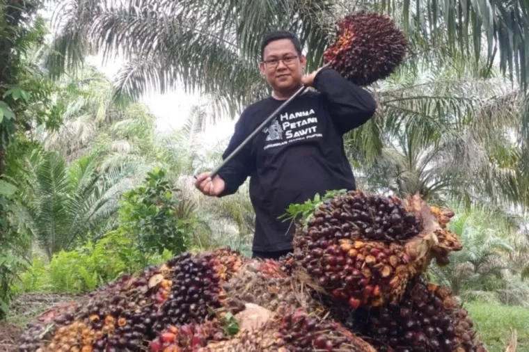 Update Harga TBS Kelapa Sawit Riau Periode 25 September - 1 Oktober 2024, Cek di Sini!