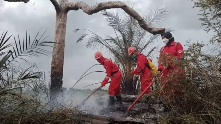 Karhutla 2024: Riau Resmi Akhiri Status Siaga Darurat Setelah 8 Bulan