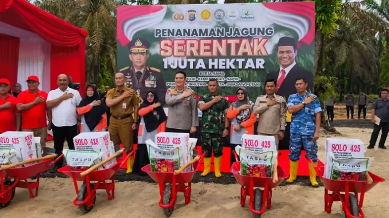 65 Ribu Bibit Jagung Ditanam Serentak di Kampar, Wujudkan Indonesia Emas 2045