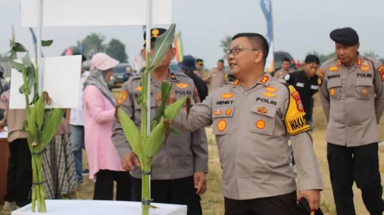 Sinergi Polresta, TNI, dan Forkopimda Pekanbaru Tanam Jagung Pipil Dukung Ketahanan Pangan Nasional