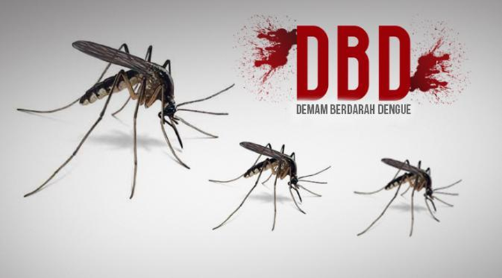 Kasus demam berdarah dengue (DBD) Kota Pariaman. (Foto: Dok istimewa)