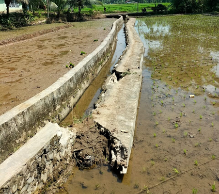 Kondisi kerusakan dinding saluran irigasi Korong Bukik Caliak Nagari Campago Kec.V Koto Kampung Dalam Kabupaten Padang Pariaman.