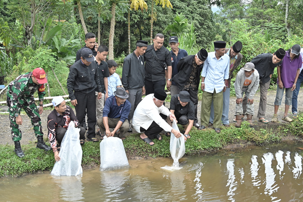 Foto Gubernur Mahyeldi Lepas 8.000 Bibit Nila di Simawang Sambil Merespons Usulan Pengerasan Jalan Pertanian