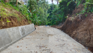 jalan Lakuak Kandih Dusun Durian Gadang Tungkal Selatan yang sudah di rabat beton Akhir Desember Tahun 2023 kemarin.