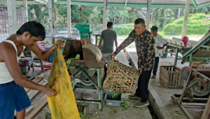 Anggota KSM sedang mengolah sampah untuk dijadikan makanan magot.