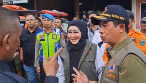 Foto Lisda Hendrajoni Serahkan Bantuan Untuk Bencana Pessel dari BNPB RI