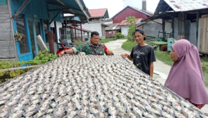 Babinsa Koramil 02/ Muara Siberut, Pelda Andarmo Pangles Bina Masyarakat di Desa Agar Produktif Meningkatkan Penghasilan