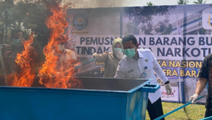 Penanganan Penyalahgunaan Narkotika di Lapas Padang, BNNP Sumbar Musnahkan Sabu-sabu dan Ganja