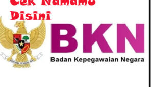 Cara cek nama honorer di database BKN