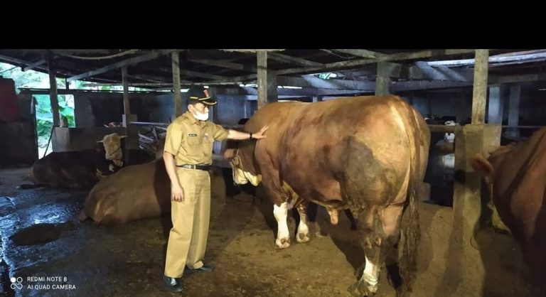 Foto Kadis Pertanian Agam: 33 Keltan Bakal Terima Bantuan Ternak dan Mesin Pendukung