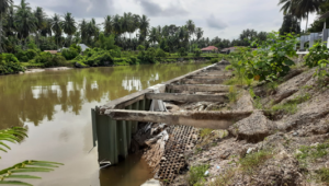 Kerusakan bantaran dan sheet pile Batang Mangor di Kawasan Sunur Kota Pariaman yang akan diperbaiki.(Trisnaldi).