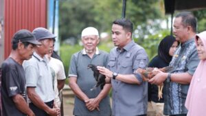 Foto Keltan Dapat Bantuan Ayam KUB, Wawako Solok Berterima Kasih kepada Dinas Pertanian Prov Sumbar