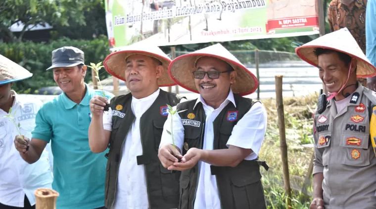 Pj Wako Payakumbuh Suprayitno bersama rombongan lakukan penanaman Cabai di kelurahan Parik Muko Aia, Kecamatan Lamposi Tigo Nagori, Rabu 12 Juni 2024.