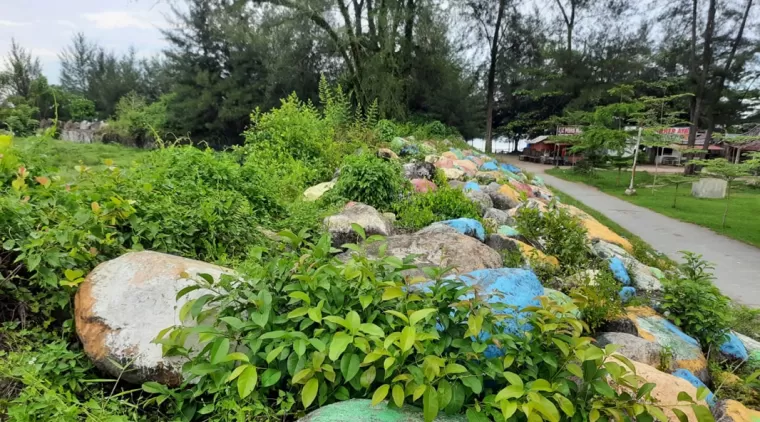 Batu warna warni yang sudah terselingi dengan tumbuhan rumput liar di kawasan destinasi wisata Pantai Kata. (Trisnaldi)