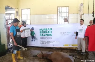 Badan Amil Zakat Nasional (Baznas) Kabupaten Agam menyelenggarakan pemotongan hewan kurban di Rumah Potong Hewan