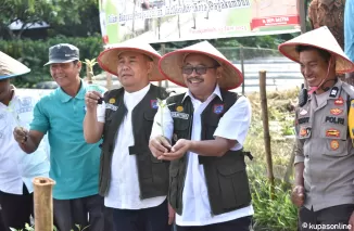 Pj Wako Payakumbuh Suprayitno bersama rombongan lakukan penanaman Cabai di kelurahan Parik Muko Aia, Kecamatan Lamposi Tigo Nagori, Rabu 12 Juni 2024.