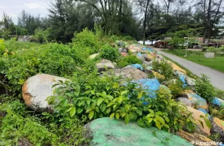 Batu warna warni yang sudah terselingi dengan tumbuhan rumput liar di kawasan destinasi wisata Pantai Kata. (Trisnaldi)