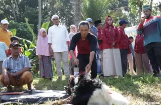 Masyarakat Tangah Padang Tiap Tahun Kecipret Hewan Kurban, Senen 17 Juni 2024.