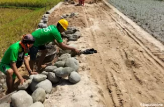 Pekerjaan pembukaan jalan usaha tani di Kampung Paneh Karong Kampung Pauh Nagari Campago Kec.V Koto Padang Pariaman.(Trisnaldi)