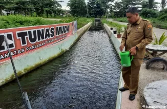 Pengelolaan restocking di batang aia pampan lamo, kelurahan Jawi Jawi duo Kota Pariaman.(Trisnaldi).