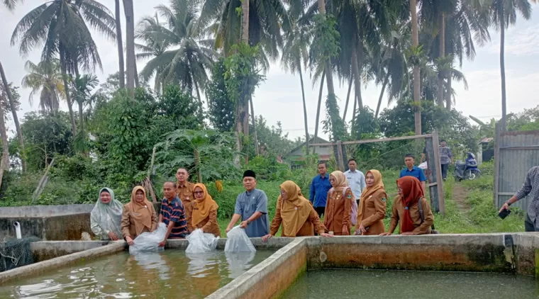 Saat penebaran benih lele bantuan DKP Sumbar ditebar di kelompok penerima Tiga Saudara di Alai Galombang Pariaman.