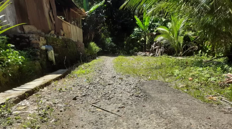 Kondisi kerusakan Jalan lingkungan di Desa Batang Kabung Kota Pariaman.(Trisnaldi).