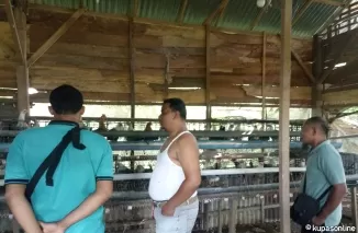 Kegiatan monitoring dan evaluasi pemanfaatan bantuan Mesin Tetas di salah satu kelompok tani penerima bantuan.