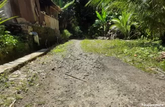 Kondisi kerusakan Jalan lingkungan di Desa Batang Kabung Kota Pariaman.(Trisnaldi).