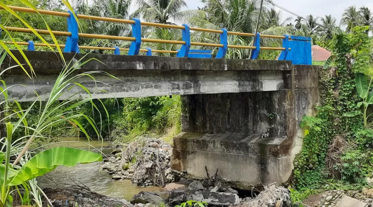 Kondisi kerusakan jembatan Surau Gadang Tinggak yang bertambah parah.(Trisnaldi).