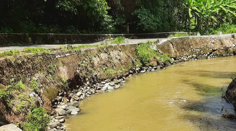 Kondisi terkini kerusakan retaining wall Batang Mangguang, ruas Jalan Puskesmas Sikapak - Mesjid Al Abrar Cubadak Air Kota Pariaman.(Trisnaldi)