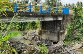 Kondisi kerusakan jembatan Surau Gadang Tinggak yang bertambah parah.(Trisnaldi).