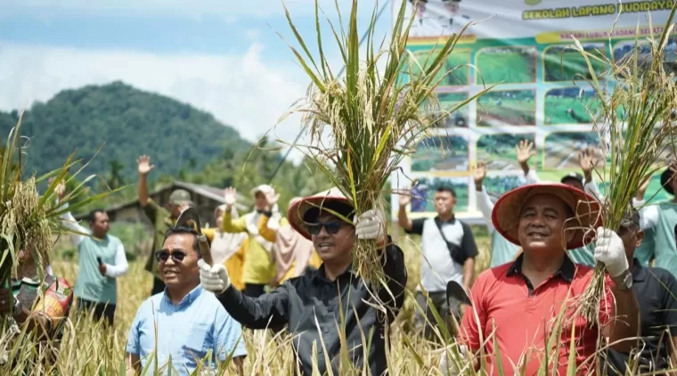 Pemkab Solsel Dukung Metode Tanam Tanpa Olah Tanah Untuk Ketahanan Pangan