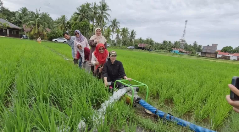 Pemanfaatan pompanisasi oleh petani di areal pertanian Palak Aneh Pariaman.