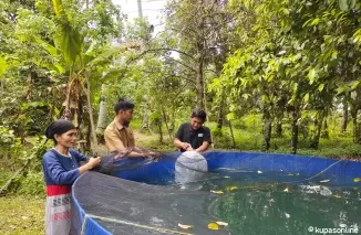 Saat penyerahan bantuan Program Ketahanan Pangan kepada penerima di Dusun Hulu Banda Tungkal Selatan.