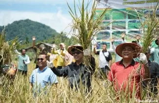 Pemkab Solsel Dukung Metode Tanam Tanpa Olah Tanah Untuk Ketahanan Pangan