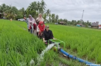 Pemanfaatan pompanisasi oleh petani di areal pertanian Palak Aneh Pariaman.