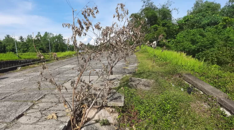 Bagian badan jalan yang amblas di jalan inspeksi batang mangguang yang ditandai rambu darurat.(Trisnaldi).