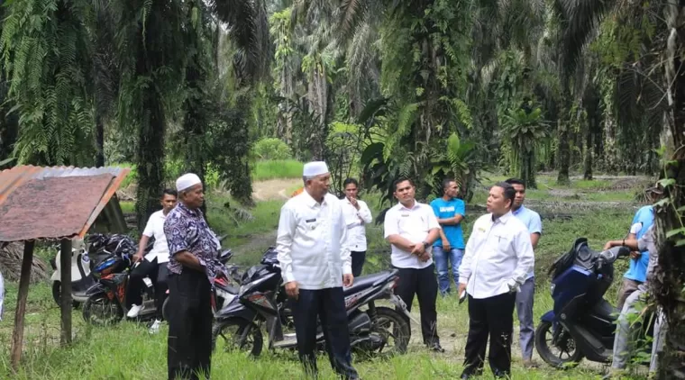 Bupati Hamsuardi Tinjau Lahan Rencana Pembangunan SD di Sungai Aur